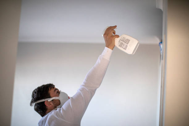 Mold Removal and Inspection in Quincy, FL