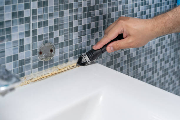 Best Toxic Mold Removal  in Quincy, FL